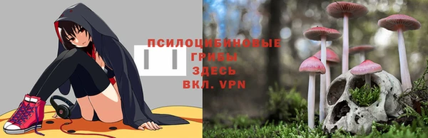 амфетамин Новокубанск