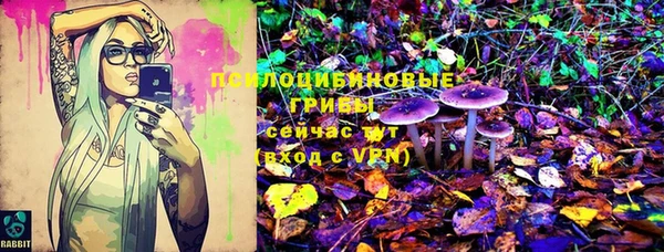 MESCALINE Гусь-Хрустальный