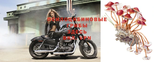 амфетамин Новокубанск