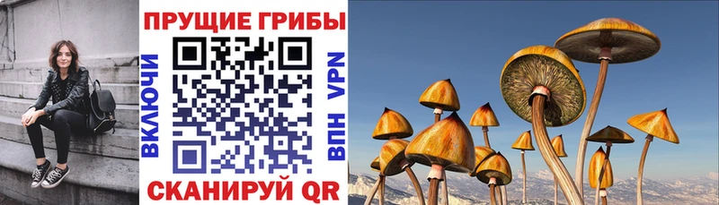 Галлюциногенные грибы мухоморы Наволоки